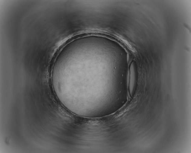 X0000091291264200708311310