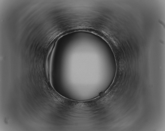 X0000091291265200708311310