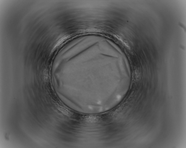 X0000091291266200708311310