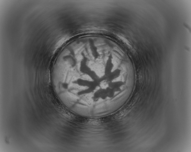 X0000091291267200708311310