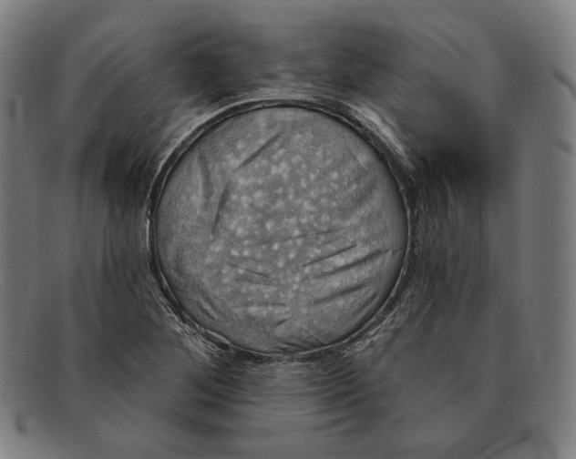 X0000091291268200708311310