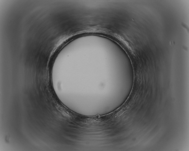 X0000091291270200708311310