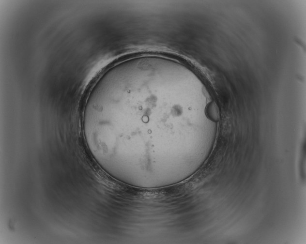 X0000091291271200708311310