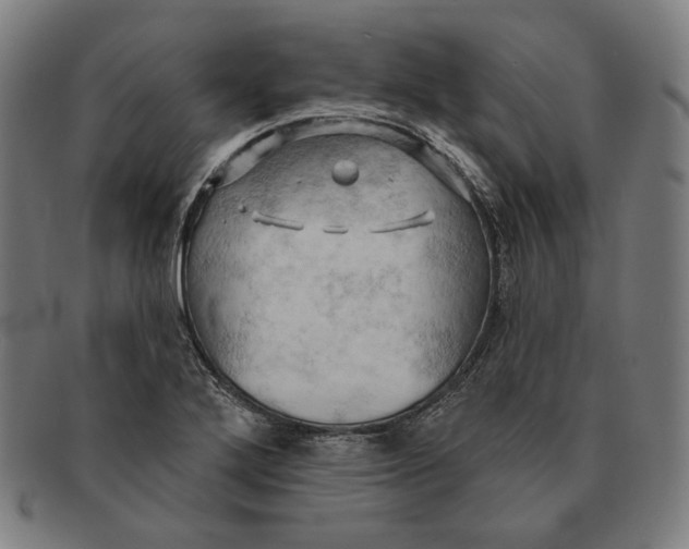 X0000091291272200708311310