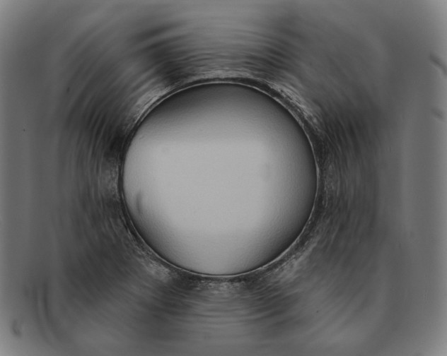 X0000091291273200708311310