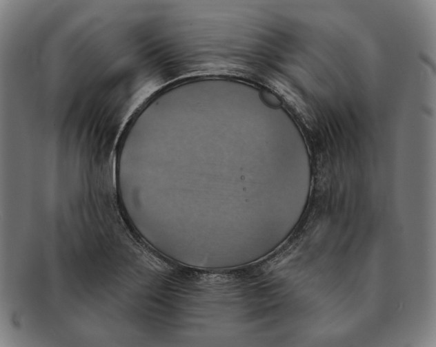 X0000091291275200708311310