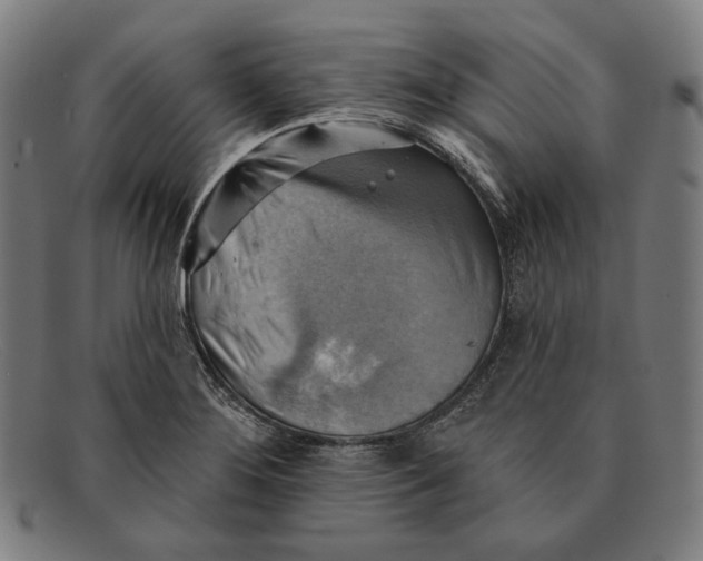 X0000091291276200708311310