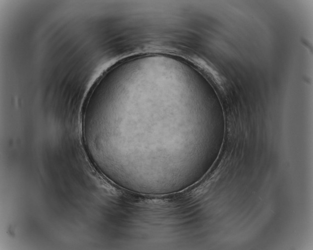 X0000091291280200708311310