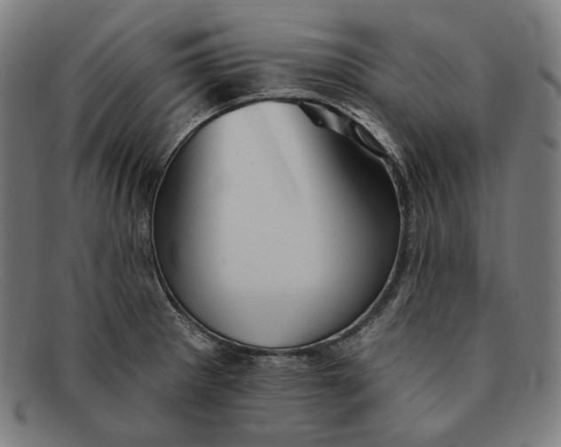 X0000091291281200708311310