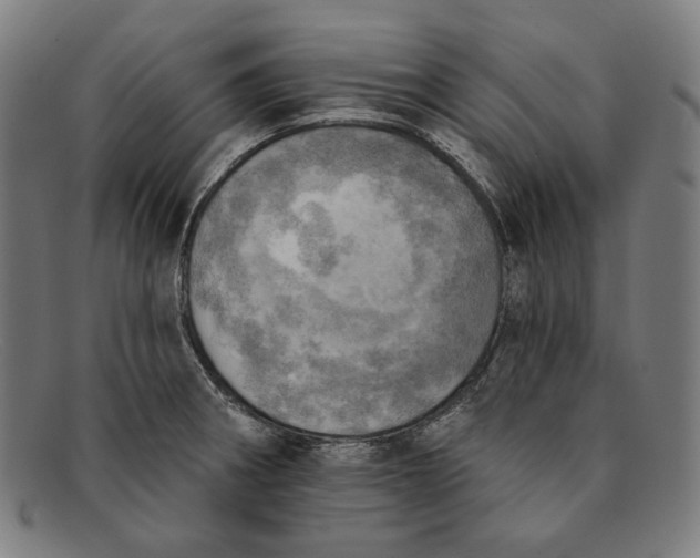 X0000091291282200708311310