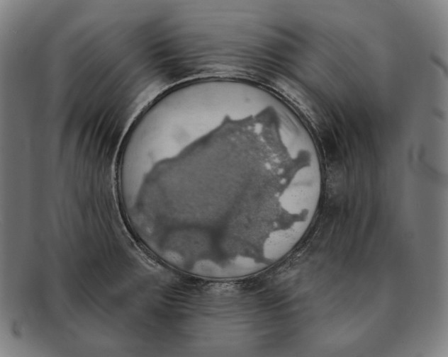 X0000091291283200708311310