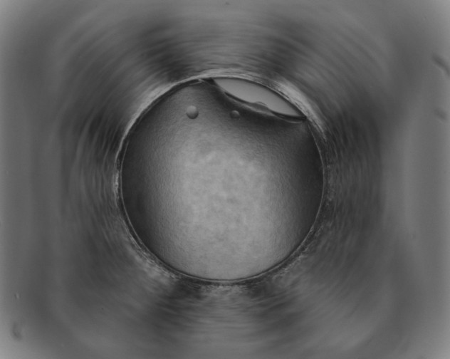 X0000091291284200708311310