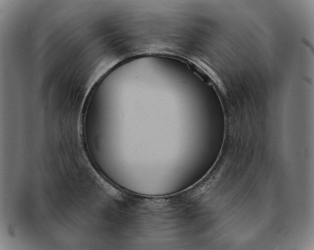 X0000091291285200708311310