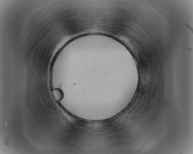 X0000091291286200708311309