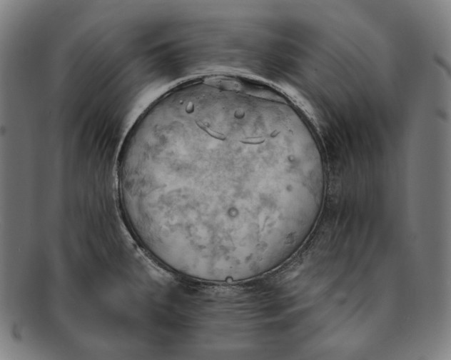 X0000091291287200708311309