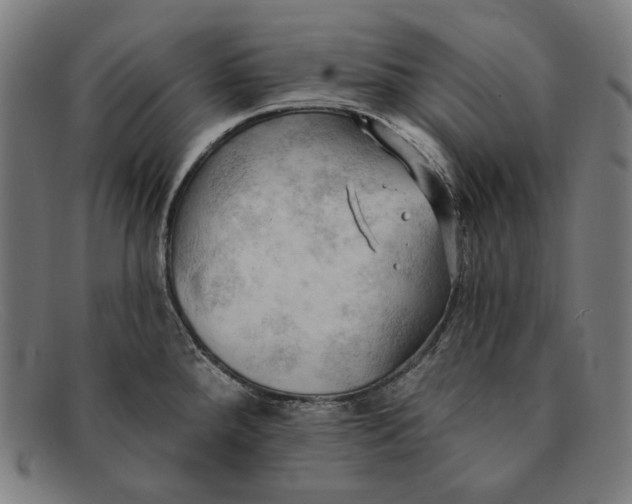 X0000091291288200708311309