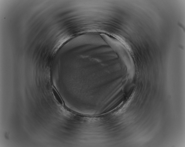 X0000091291289200708311309