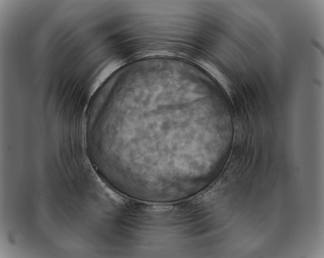 X0000091291290200708311309