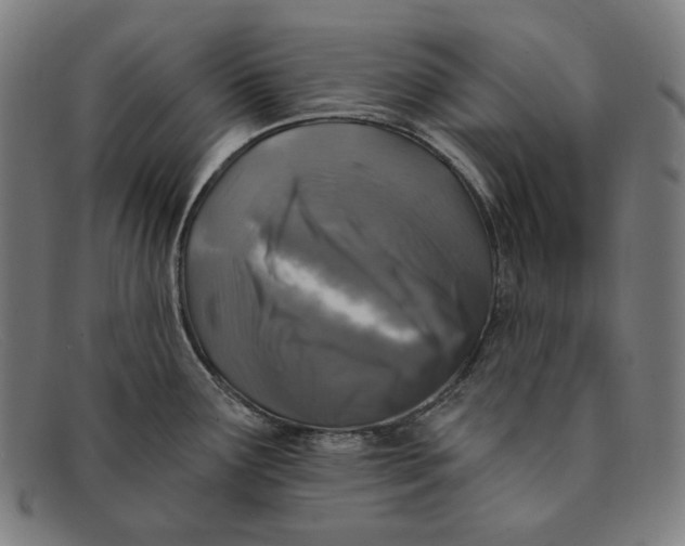 X0000091291291200708311309