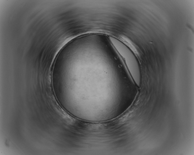 X0000091291292200708311309