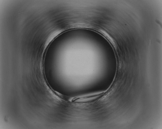 X0000091291293200708311309