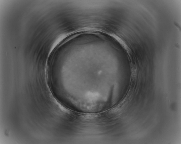 X0000091291294200708311309