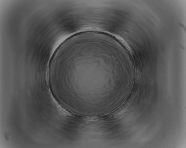 X0000091291295200708311309