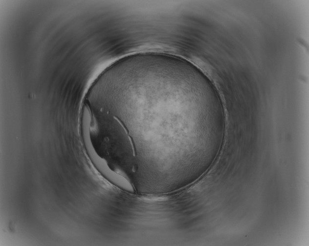 X0000091291296200708311309