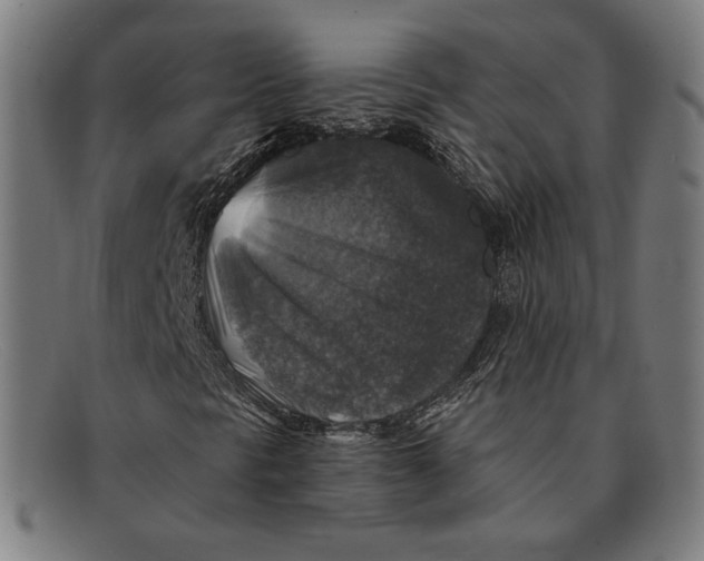 X0000091291297200708311309