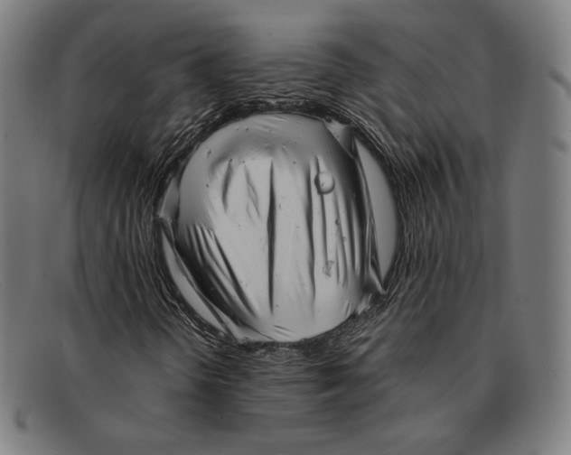 X0000091291298200708311309