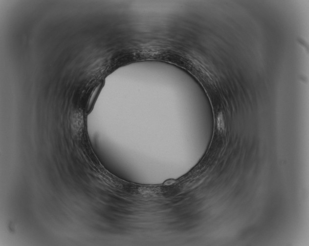 X0000091291299200708311309