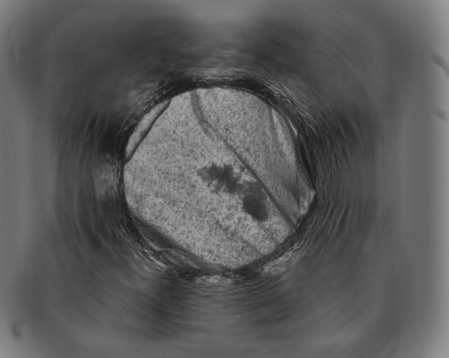 X0000091291300200708311309