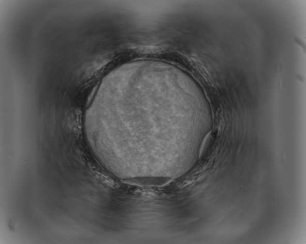 X0000091291301200708311309