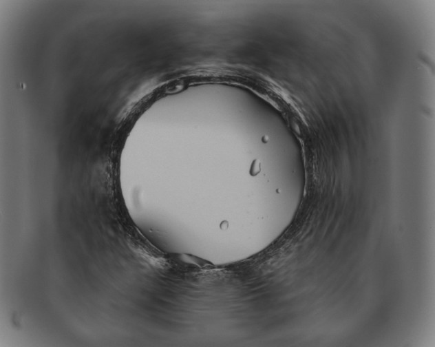 X0000091291304200708311309