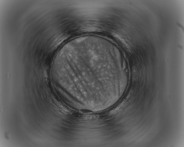 X0000091291305200708311309