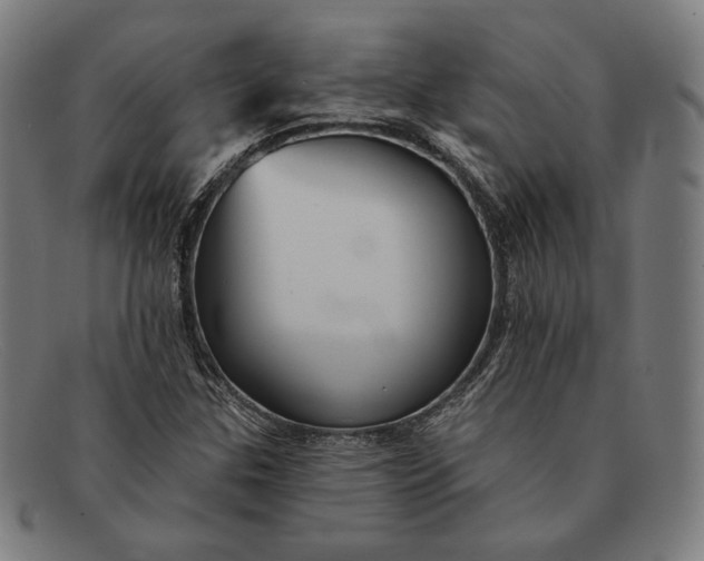 X0000091291307200708311309