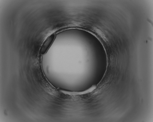 X0000091291308200708311309