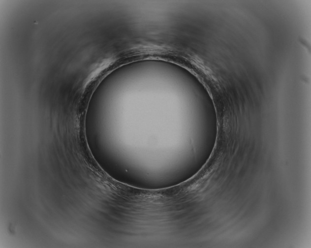 X0000091291309200708311309