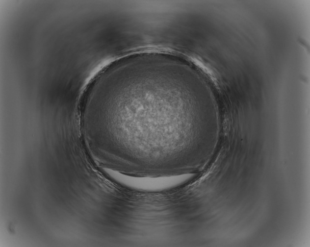 X0000091291310200708311309