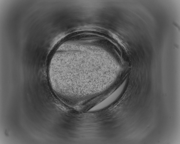 X0000091291312200708311309