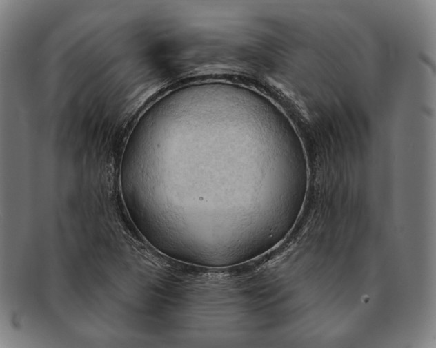 X0000091291313200708311309