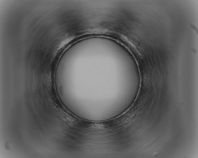 X0000091291315200708311309