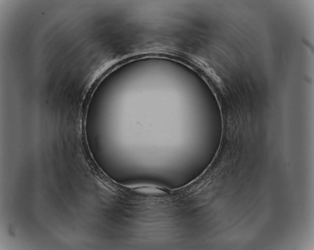 X0000091291316200708311309