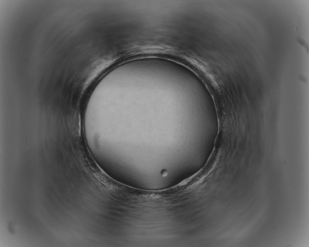 X0000091291317200708311309