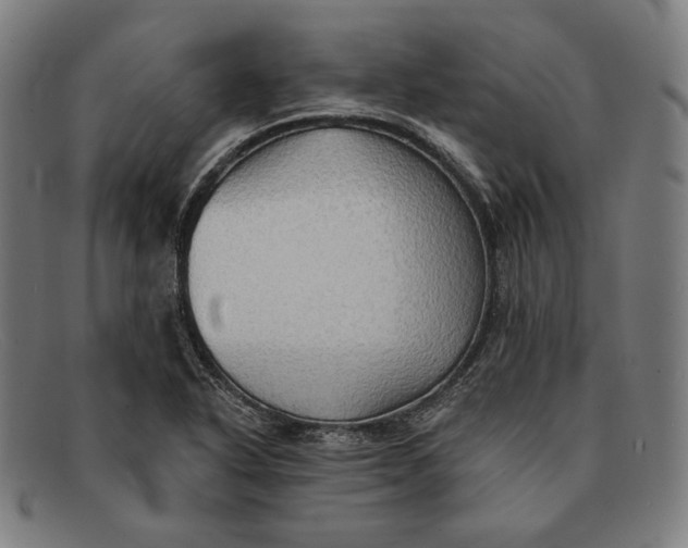 X0000091291318200708311309