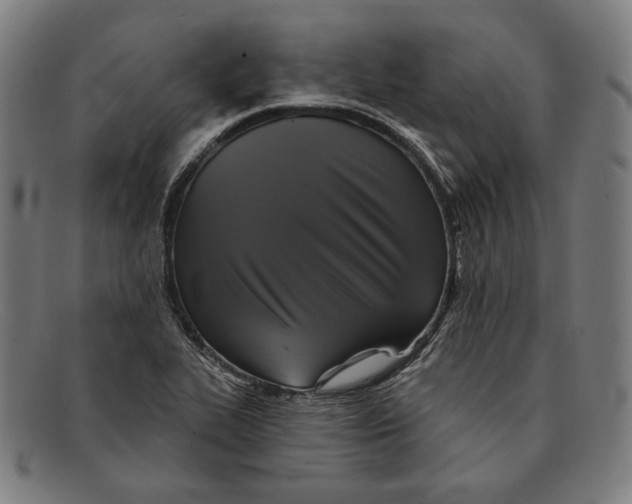 X0000091291319200708311309