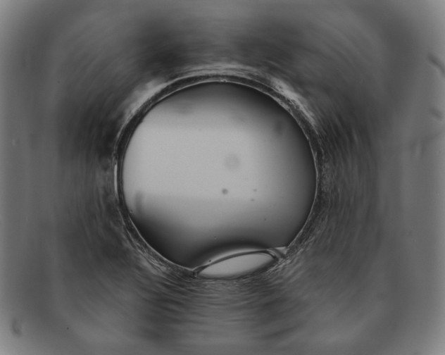 X0000091291320200708311309