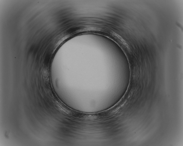 X0000091291321200708311309