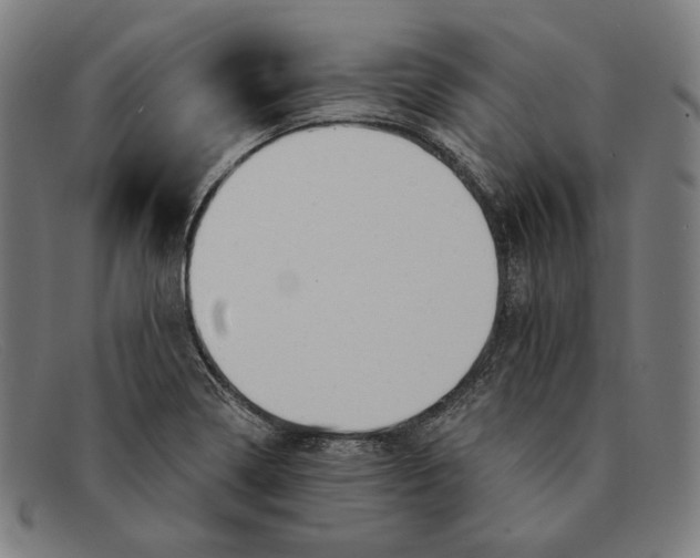 X0000091291322200708311309