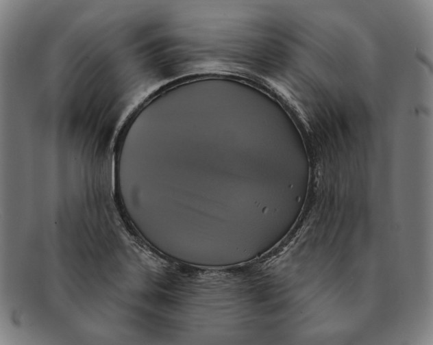 X0000091291323200708311309